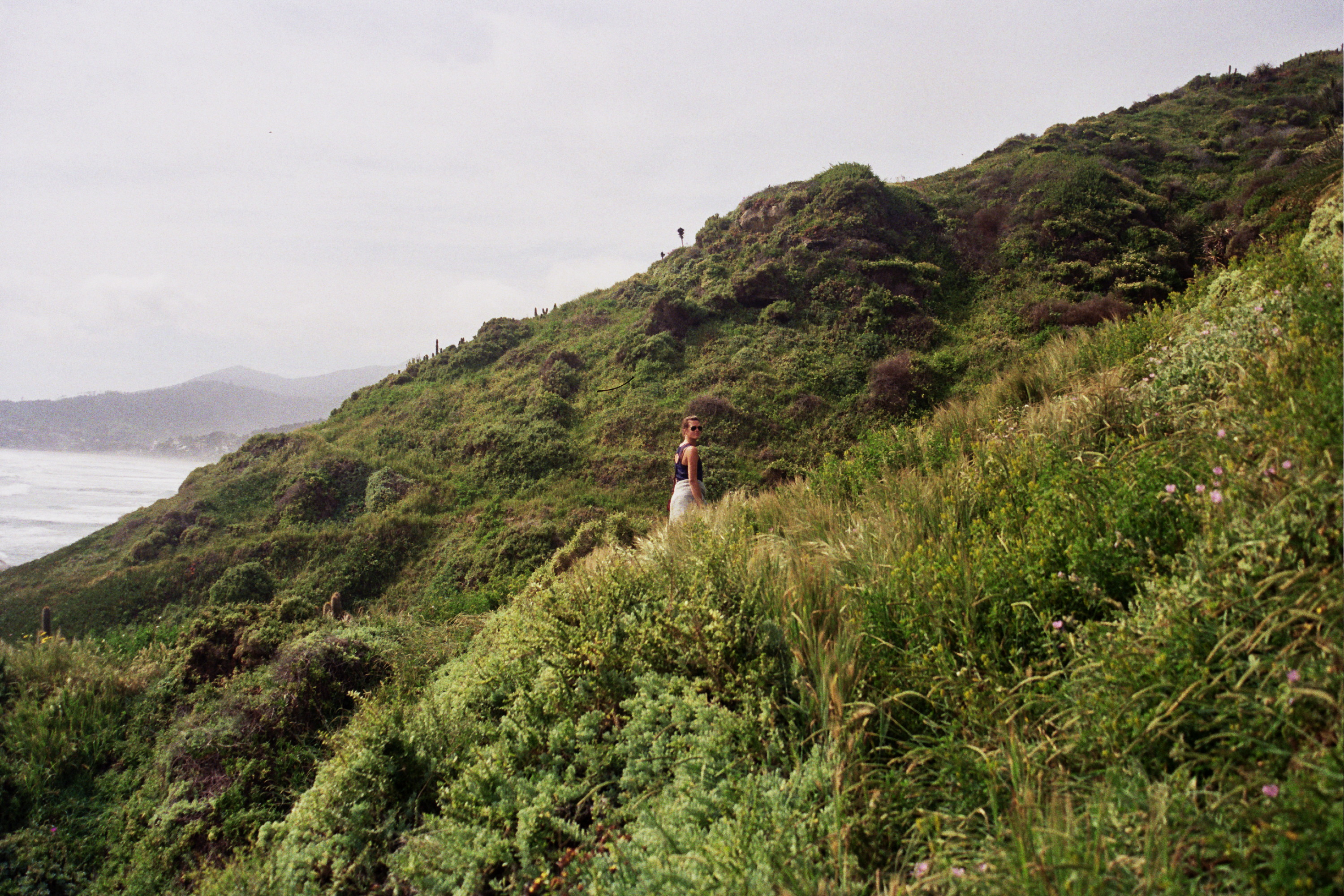 El sendero a Zapallar, con Rachel pt.2